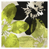 Bloomer Tiles VI Poster by James Burghardt