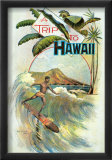A Trip to Hawaii Print
