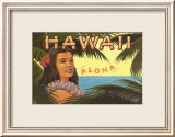 Hawaii Aloha Affiches