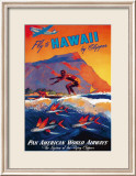 Fliegen Sie nach Hawaii Gerahmter Giclée-Druck von M. Von Arenburg
