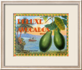 Aguacates de lujo Láminas por Miles Graff