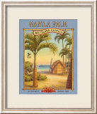 Palmier de Manille Posters