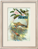 A Trip to Hawaii Prints