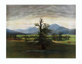 The Lonely Tree Affiches par Caspar David Friedrich