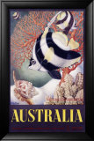 Australia Great Barrier Reef Lámina giclée enmarcada por Mayo Australia Great Barrier Reef Lámina giclée enmarcada por Mayo