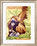 Munich Zoo, Ape Lámina giclée enmarcada