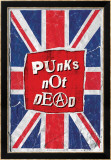Punks Not Dead Affischer