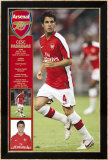 Arsenal - Fabregas Poster