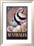 Australia Great Barrier Reef Estampe encadrée par Mayo 
