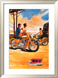 Bsa Láminas Bsa Láminas