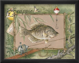 Crappie Prints by Anita Phillips