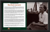 Women of Science - Rachel Carson Láminas Women of Science - Rachel Carson Láminas