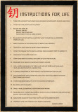 Instructions for Life Prints
