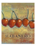 Habanero Lámina giclée por Norman Wyatt Jr.