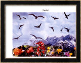 A Dozen Seagull, c.1997 Affiches par Peter Hutchinson