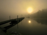 Dream Pool Photographic Print by Andreas Stridsberg
