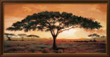Memories of Masai Mara Láminas por Madou