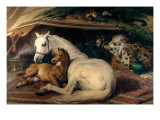 The Arab Tent, 1866 Giclee Print by Sir Edwin Landseer