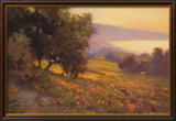 Meadow over La Jolla Shores Plakat av Brian Blood Meadow over La Jolla Shores Plakat av Brian Blood