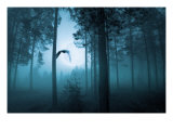 Forest Flight Giclee Print by Andreas Stridsberg