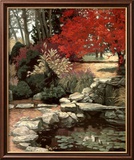 Crimson Tree Prints by Barbara Hails