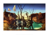 Cisnes que se reflejan como elefantes, ca. 1937 Láminas por Salvador Dalí
