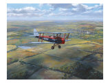 D.H. Tiger Moth Giclee Print by Roy Cross
