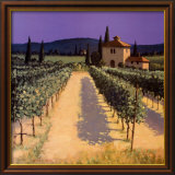Sombras en el viñedo Láminas por David Short Sombras en el viñedo Láminas por David Short