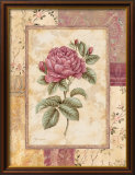 Provence Rose I Póster por Pamela Gladding