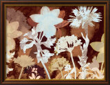 Translucent Shadows I Posters av Lois Bender
