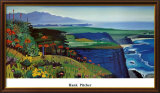 Point Conception Láminas por Hank Pitcher Point Conception Láminas por Hank Pitcher