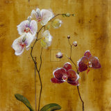Orchid Bloom II Print by Georgie 