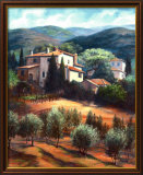 Olivares en Toscana Láminas por Deborah Haeffele