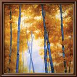 Blue Wood Canopy Póster por Robert Striffolino Blue Wood Canopy Póster por Robert Striffolino
