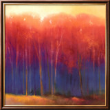 Deep Woods in Autumn Póster por Teri Jonas