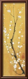 Cherry Blossom Arte por Suzanna Mah Fong