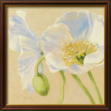 White Poppies II Lámina por Shirley Novak White Poppies II Lámina por Shirley Novak