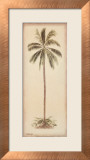 Debra Lake - Palm Tree I - Poster Debra Lake - Palm Tree I - Poster