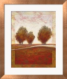 Morning Mist Rising I Posters par Susan Osborne