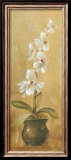 Orchids in Bronze Bowl II Affiches par Silvia Vassileva