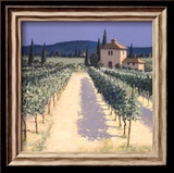 Schatten der Weinreben Kunstdrucke von David Short