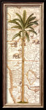 Debra Lake - African Palm I Obrazy Debra Lake - African Palm I Obrazy