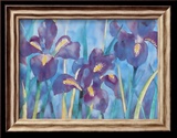 Iris Poster par Lisa V. Keaney