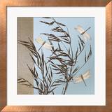 Libellules Affiche par Caroline Gold