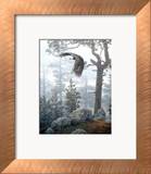 Bosque cubierto de niebla Póster por Daniel Smith Bosque cubierto de niebla Póster por Daniel Smith