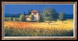 Sommerfelder I Kunstdrucke von David Short
