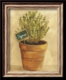 Thymus Poster par Mar Alonso