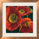 Red Poppy Trio II Pósters por Shirley Novak