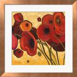 Poppies Wildly I Lámina por Shirley Novak