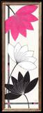 Fuchsia Lotus Blooms Póster por Alan Buckle Fuchsia Lotus Blooms Póster por Alan Buckle